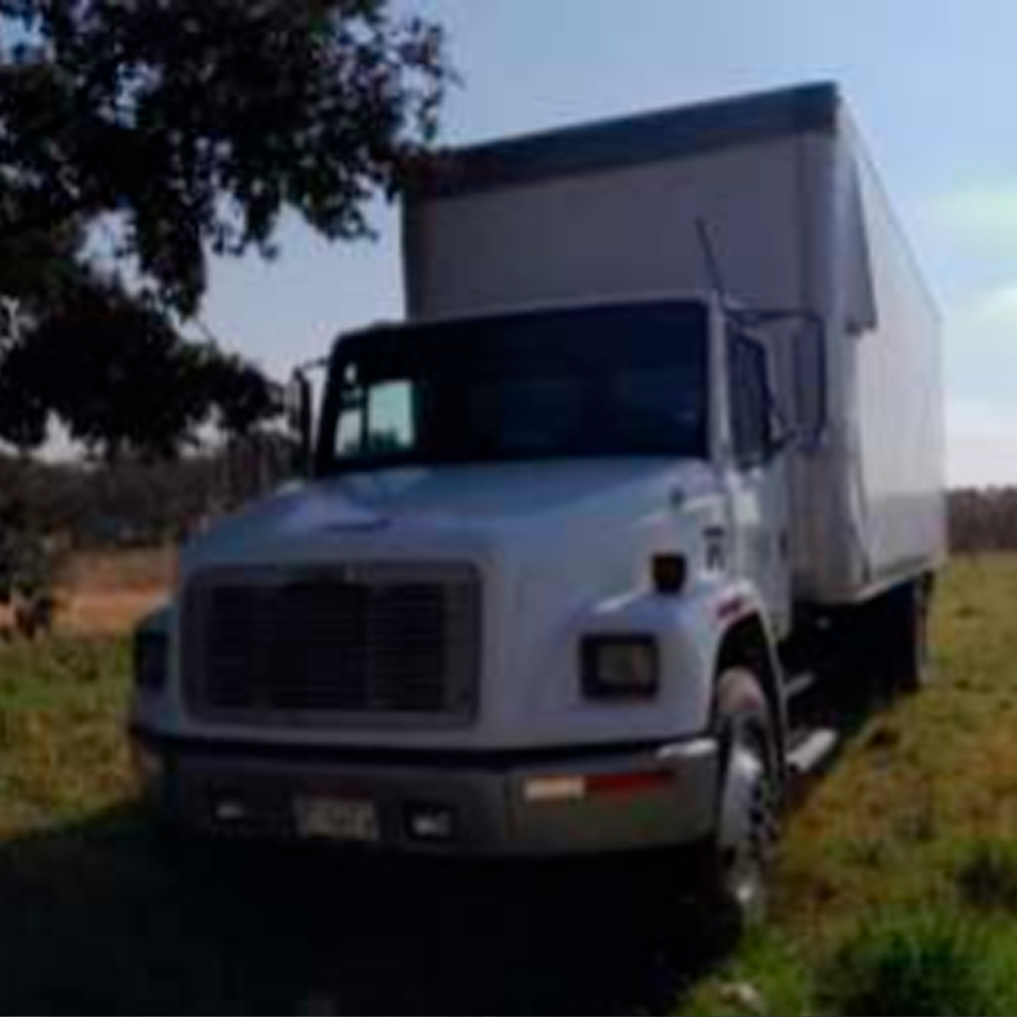 Rabón caja seca (7 mts)