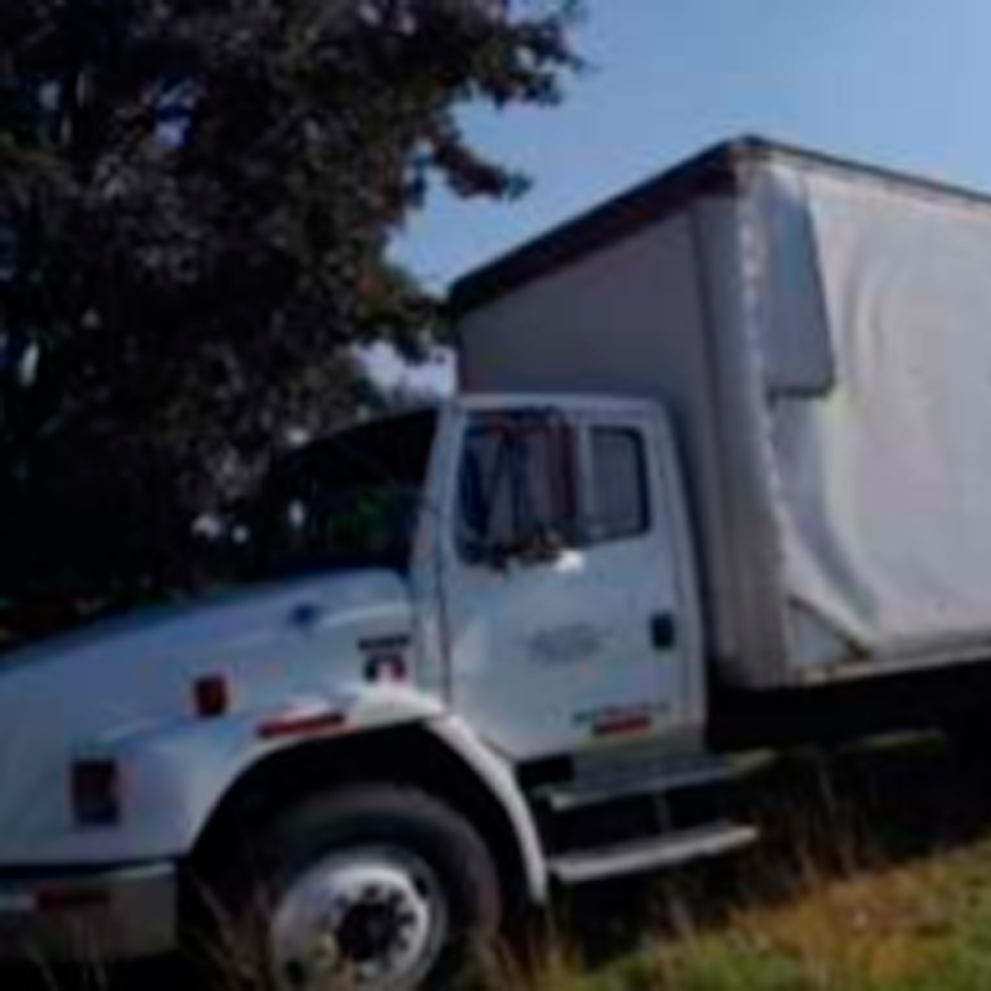 Rabón caja seca (7 mts)