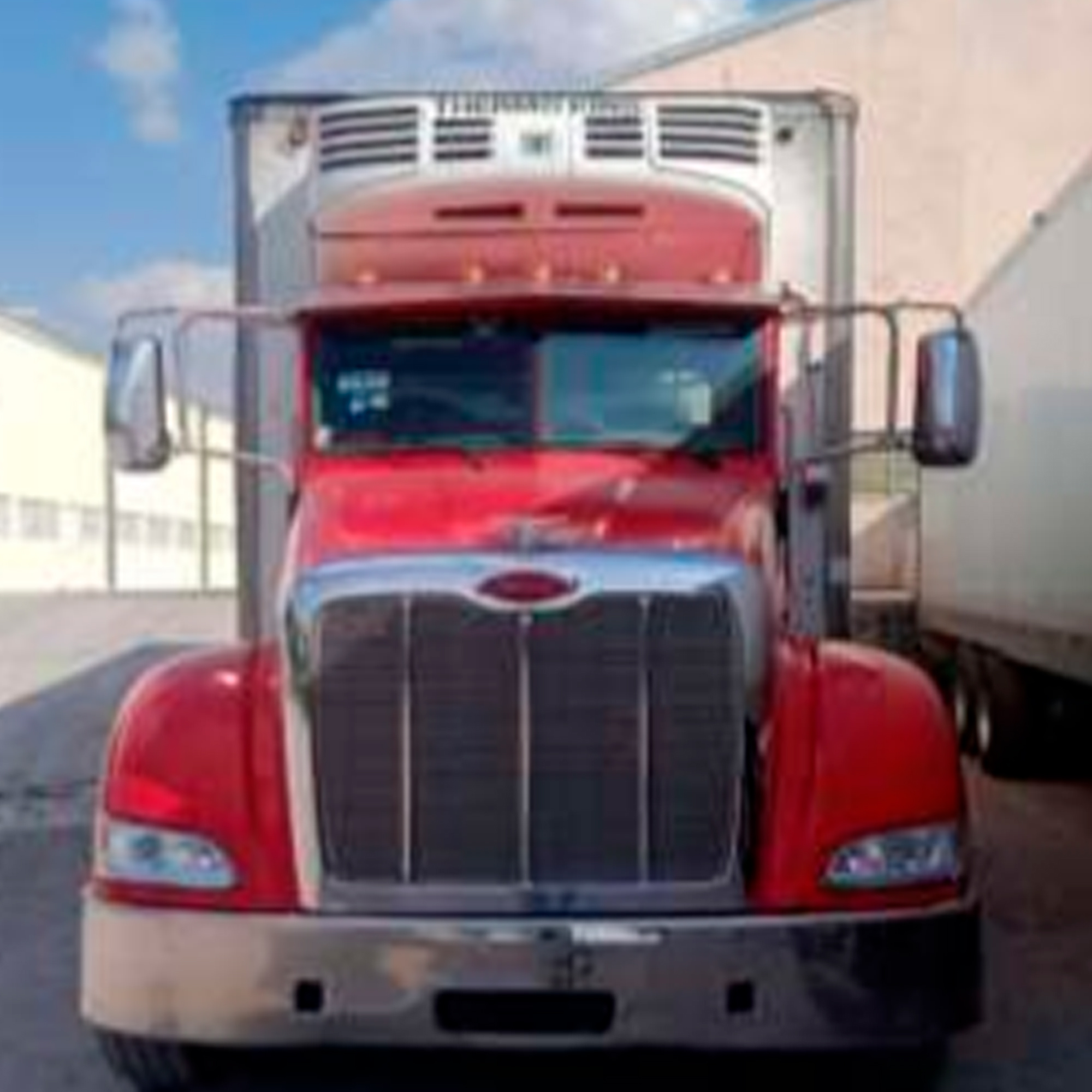 Torton caja refrigerada (8 mts)