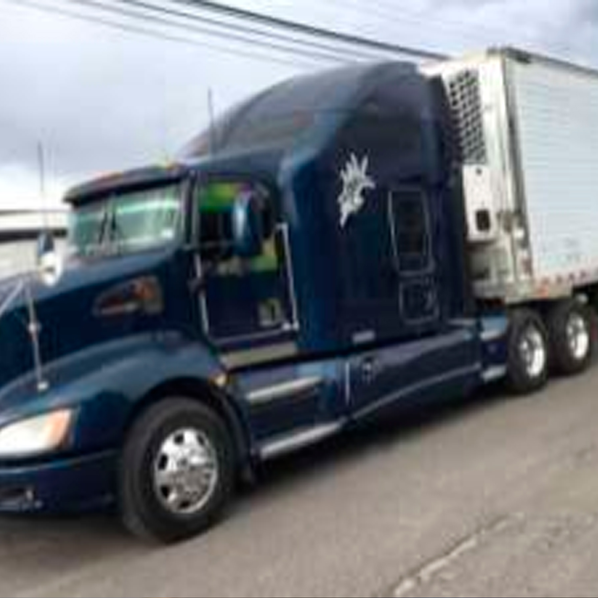 Tráiler caja refrigerada (53 pies)